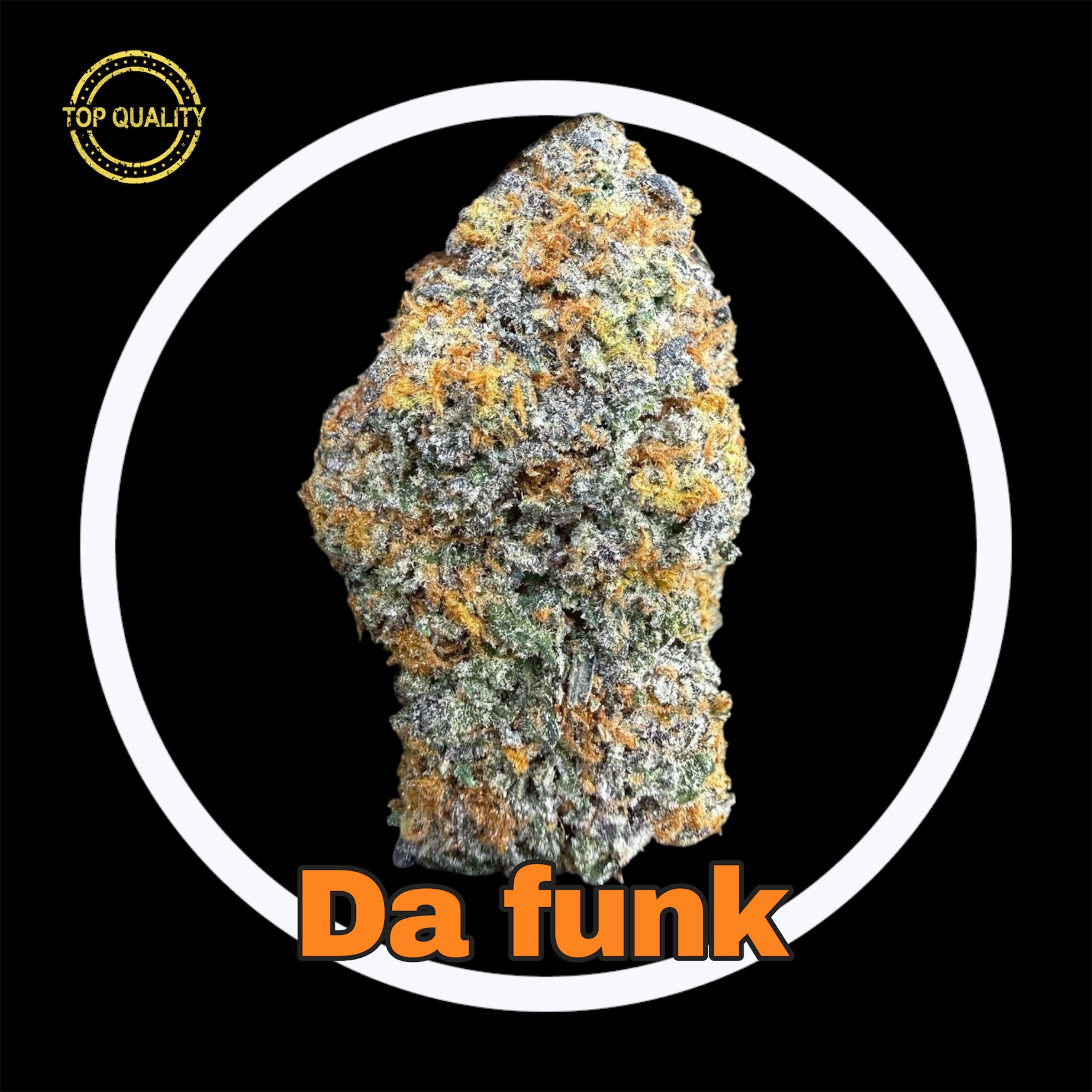 14-03-26 07-51-52pm.jpg